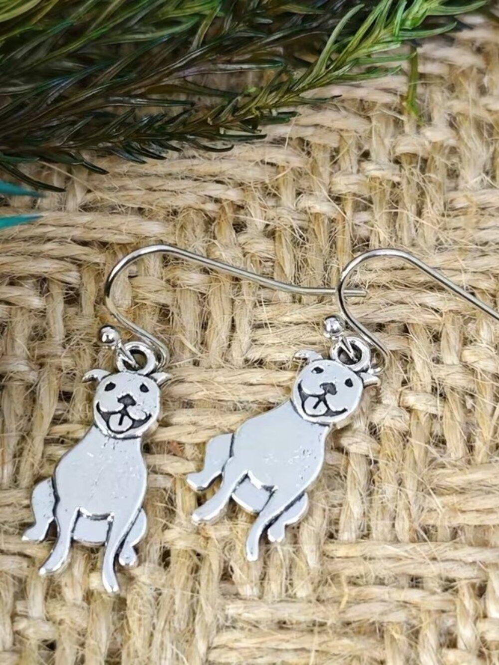 3/$15~Pitbull Earrings - Picture 2 of 2